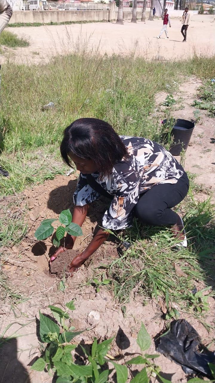 Investigadores do Projecto Cidades Sustentáveis em Angola, realizam diversas actividades em escolas no dia Nacional do Ambiente.